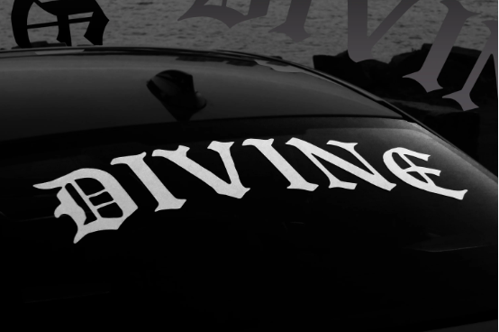 Divine Aspiration logo
