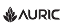Theauric Store logo